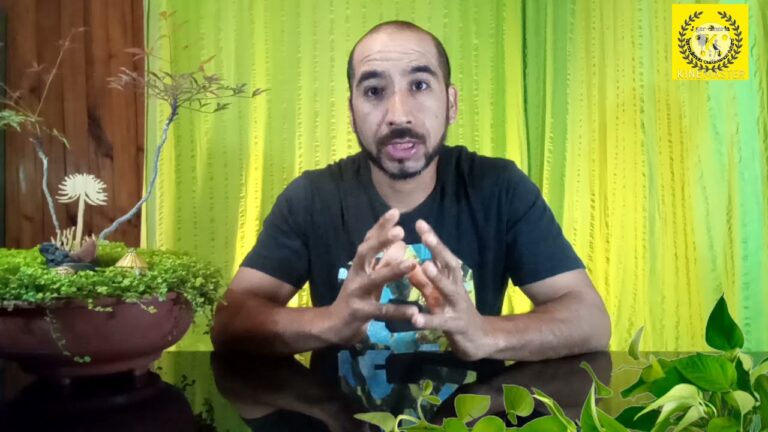 Zonas Verdes con Mayor Sombra en Humanes