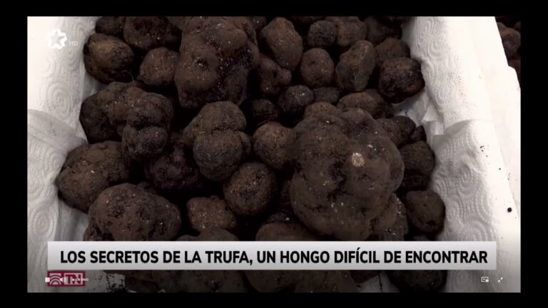 Gu&iacute;a de Compras de Productos para Mascotas en Cabanillas del Campo