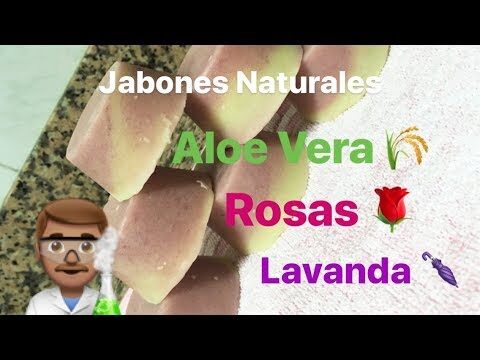 Guía de Compra: Productos Veganos en Alovera