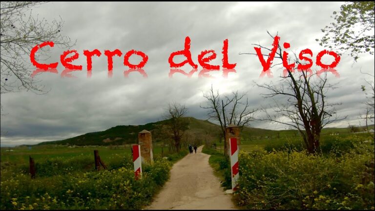 Rutas de Bicicleta en Yebes: Descubre las Mejores Opciones