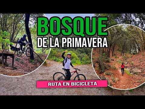 Mejores Rutas de Ciclismo de Monta&ntilde;a Cerca de Guadalajara