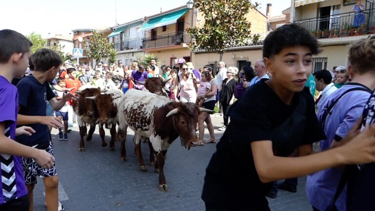Zonas de Ocio Infantil en Marchamalo: Gu&iacute;a Completa