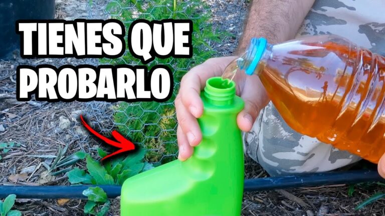 Gu&iacute;a para Comprar Alimentos Ecol&oacute;gicos en El Casar